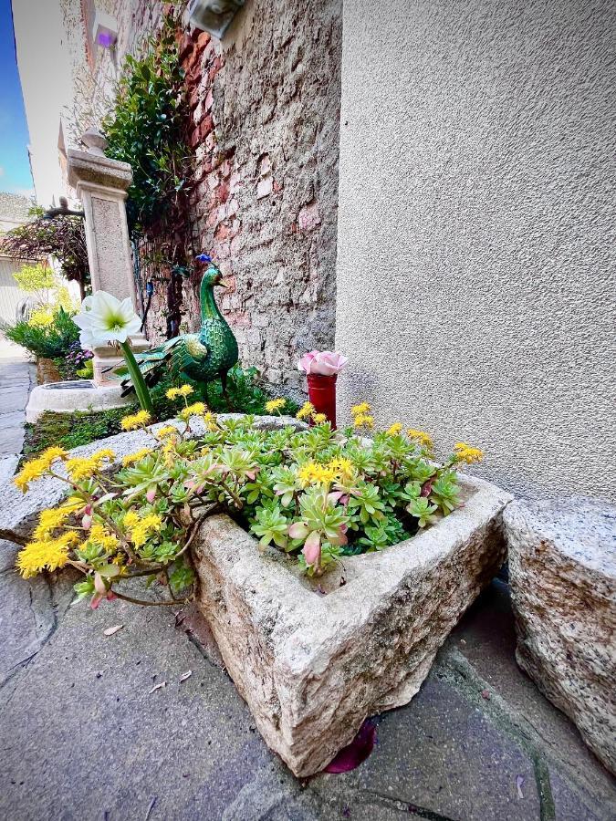 B&B Corte Sul Naviglio Cin I T 0 1 5 0 7 0 C 1 3 X U I L Q C V Cernusco Sul Naviglio Exterior foto